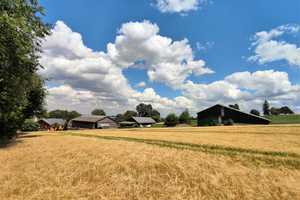 1098 - Landwirtschaftliches Anwesen vor den Toren von Hof – Hof (Kreis) – Vorschaubild 2