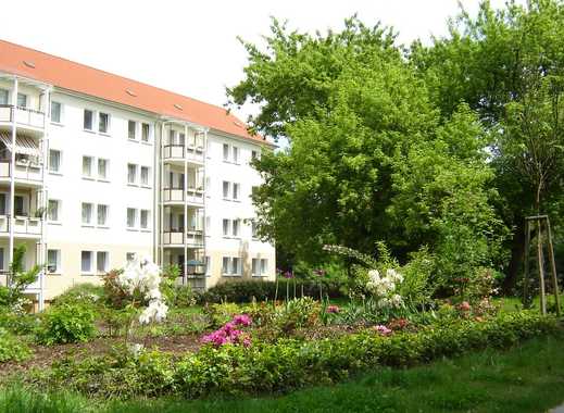 Singles zittau umgebung