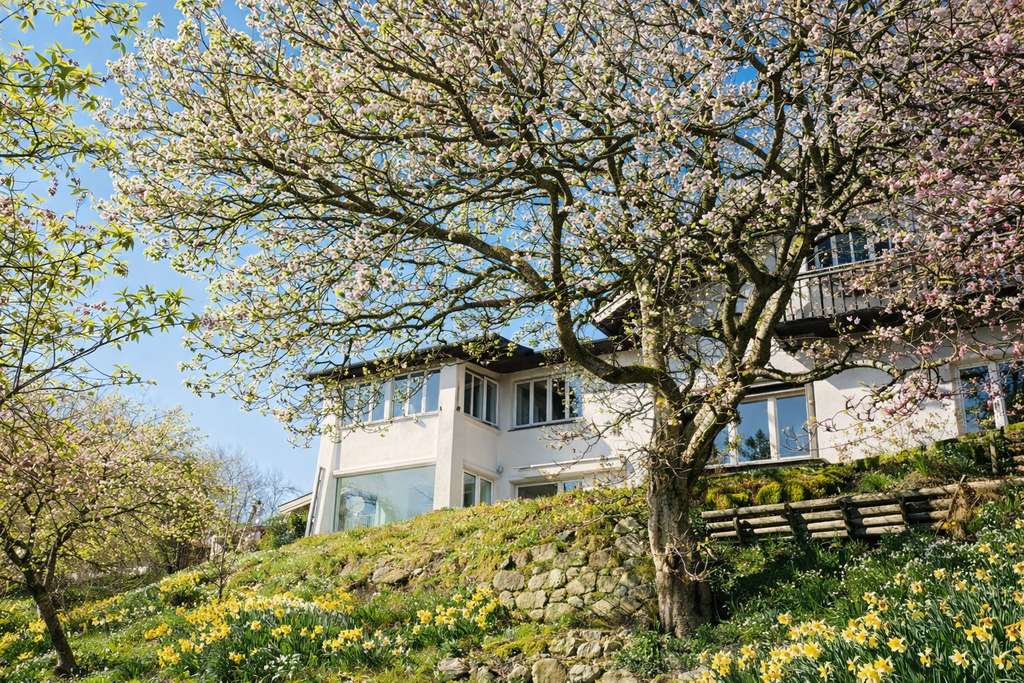 Immobilie in Weyarn - Seltene Gelegenheit – Anwesen in erster Seereihe mit atemberaubendem See- und Alpenblick - Bild 3