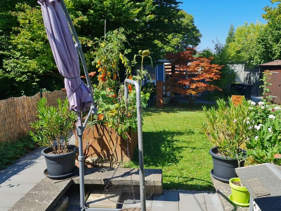 Garten mit Gartenhaus