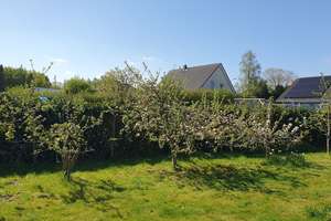 Geräumiges Haus mit tollem Weitblick in Dorfrandlage – Schleswiger Str. 21, 24975 Husby – Vorschaubild 10