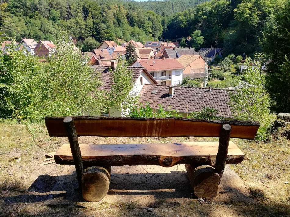 Ausblick Waldgrundstück