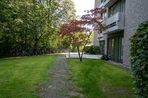 Property thumbnail 30