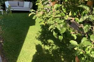 Property thumbnail 17