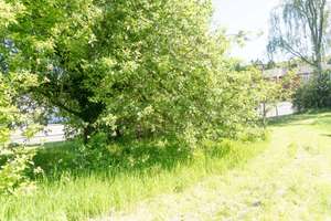Einfamilienhaus in gehobener Lage auf 1008 m² – Die vollständige Adresse der Immobilie erhältst du vom Anbieter., 41836 Hückelhoven – Vorschaubild 11