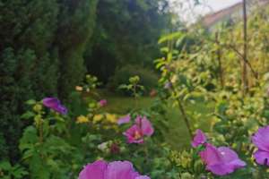 Freistehend und mit großem Garten – Die vollständige Adresse der Immobilie erhältst du vom Anbieter., 71522 Backnang – Vorschaubild 6