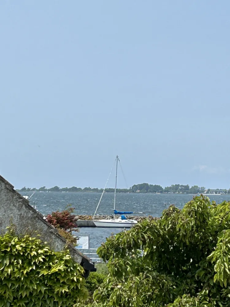 Altes Kapitänshaus mit Sanierungsbedarf in Wiek auf Rügen 100 Meter vom Hafen entfernt, Vorpommern Rügen Kreis – Bild 1