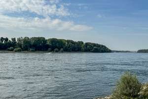 Property thumbnail 31