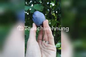 Tauschwohnung: Modernes Haus mit großem Garten, hochwertiger Küche – 63071 Bieberer Berg, Offenbach am Main – Vorschaubild 16