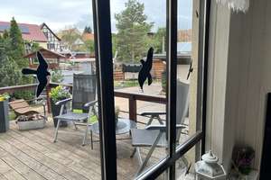 Viel Platz für ein oder zwei Familien in einem vollständig sanierten Wohnhaus in  Steinthaleben – Bendelebener Str. 15, 99707 Steinthaleben – Vorschaubild 4