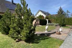 großzügiges EFH mit mediterranem Charme in Böhlitz-Ehrenberg – Leipzig – Vorschaubild 31
