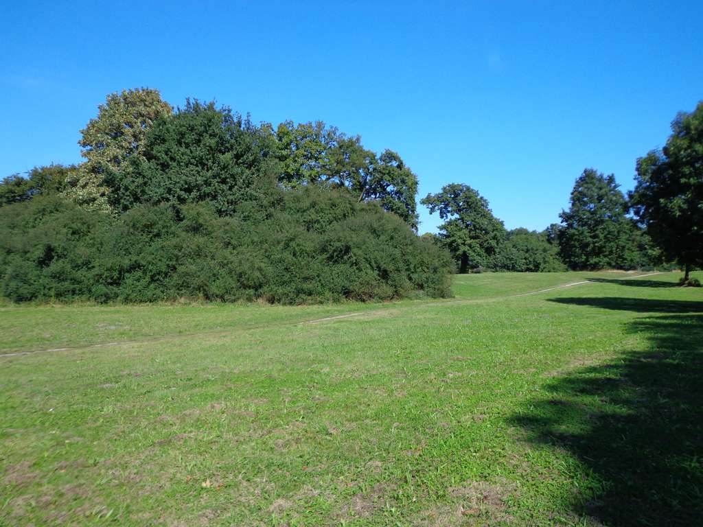 Immobilie in Kummerfeld - KUMMERFELD: BAUGRUNDSTÜCK MIT POTENTIAL - Bild 0