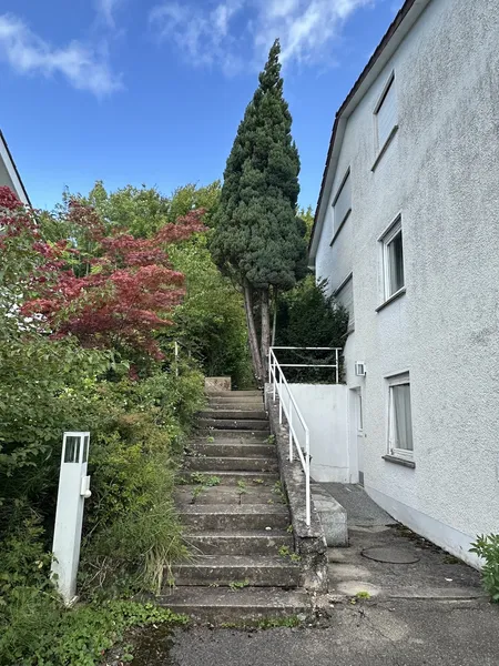 11Rm House – Tübingen – hillside with pool & garden - 2