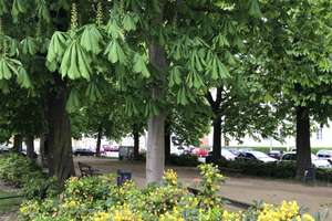 Property thumbnail 4