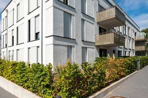 PANDION VILLE - Wunderschöne 2-Zimmer-Terrassenwohnung  – Fritz-Bauer-Str.  31, 53123 Bonn – Vorschaubild 8