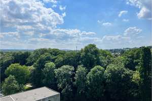 Gut aufgeteilte Eigentumswohnung – Aachen – Vorschaubild 7