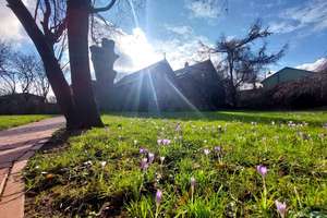 Frühling am Ostseestrand  -  Altbauvilla mit Gästehaus und großem Garten, frei- – Die vollständige Adresse der Immobilie erhältst du vom Anbieter., 24972 Steinberg – Vorschaubild 1