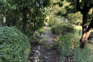 Freistehendes Einfamilienhaus mit Garage und großem Garten – Die vollständige Adresse der Immobilie erhältst du vom Anbieter., 28777 Rönnebeck, Bremen – Vorschaubild 8