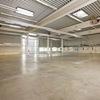 Ca. 3.000 qm Lager- / Logistik- / Produktionsflächen | Rampe + ebenerdig | bis ca. 8,00 m UKB