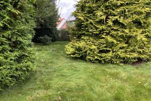 Am Ortsrand gelegen...
 – Die vollständige Adresse der Immobilie erhältst du vom Anbieter., 31061 Alfeld (Leine) – Vorschaubild 4