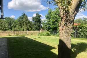 Haus zu vermieten mit Garten, Kamin und viel Platz – Weimarer Land (Kreis) – Vorschaubild 15