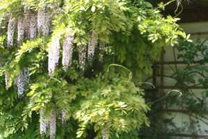 Schmuckkästchen mit viel Platz, Gestaltungsmöglichkeiten und unverbaubarer Aussicht  – Rottal-Inn (Kreis) – Vorschaubild 43