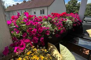 Moderne 3-Zimmer Wohnung im 2. OG mit Balkon in Düsseldorf-Holthausen