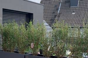  exklusive 2-Zimmer-Terrassenwohnung m. Einbauküche & sonniger Dachterrasse – Die vollständige Adresse der Immobilie erhältst du vom Anbieter., 48161 Nienberge, Münster – Vorschaubild 6