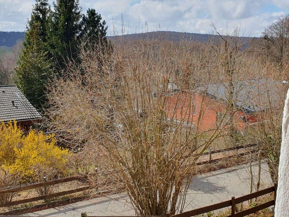 Blick vom Balkon