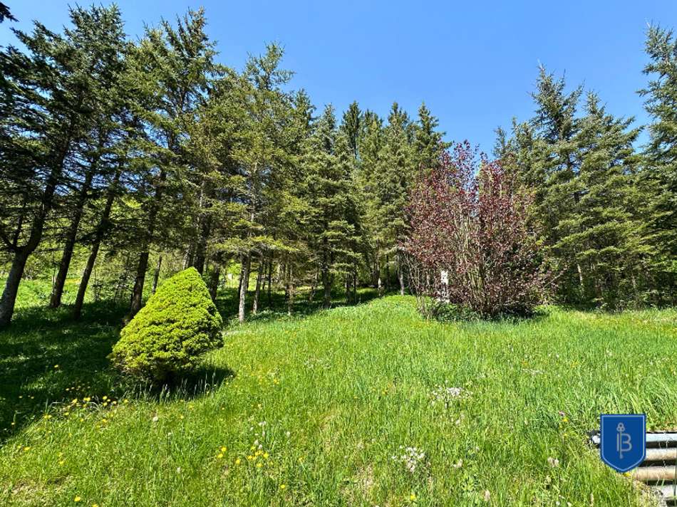 kleiner eigener Wald