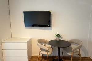 Neu möbliertes Studio-Apartment mit Balkon und Burgblick in Wöhrd – Kesslerstr. 18, 90489 Wöhrd, Nürnberg – Vorschaubild 6