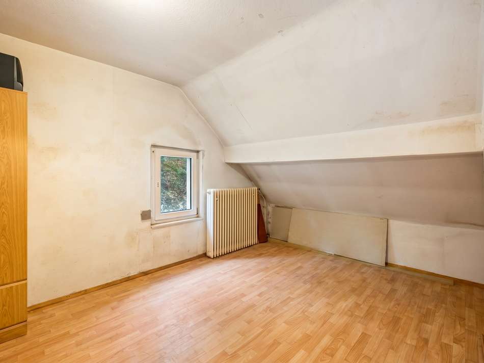 Zimmer DG