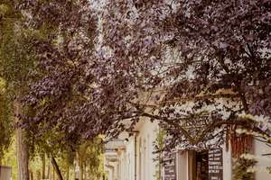 Property thumbnail 15