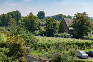 Schuch Immobilien - Erlebnisort für die Sinne im Rheingau mit eigenem Weinberg – Rheingau-Taunus-Kreis – Vorschaubild 43