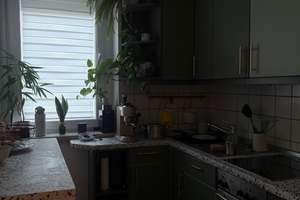 Sanierte 2-Zimmer-Wohnung im Stuttgarter Westen – Lindenspürstraße 15a, 70176 Rosenberg, Stuttgart – Vorschaubild 4