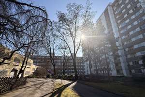 3-Zimmer-Wohnung-bezugsfrei-Gepflegte Wohnung mit sehr gutem Grundriss, Balkon und Aufzug  – Die vollständige Adresse der Immobilie erhältst du vom Anbieter., 14169 Zehlendorf, Berlin – Vorschaubild 8