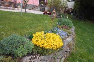 Property thumbnail 33