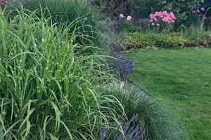TOP PREIS! TOP LAGE! SOMMER 2025 im eigenen HAUS UND GARTEN! – Oberhavel (Kreis) – Vorschaubild 16