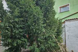 Selbstnutzung oder als Anlage - beides für kleines Geld zu haben. – Elbe-Elster (Kreis) – Vorschaubild 9