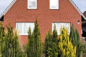 Gepflegtes Einfamilienhaus in guter Lage von Papenburg – Emsland (Kreis) – Vorschaubild 3