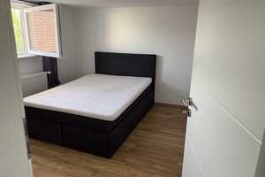 Attraktive 4-Zimmer-Doppelhaushälfte in Friedland – Roter Berg 5a, 37133 Göttingen (Kreis) – Vorschaubild 2