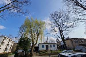 Schulen ums Eck*Garten*Süd-Terrasse*NEUBAU*Lichterfelde West* – Die vollständige Adresse der Immobilie erhältst du vom Anbieter., 12203 Lichterfelde, Berlin – Vorschaubild 6