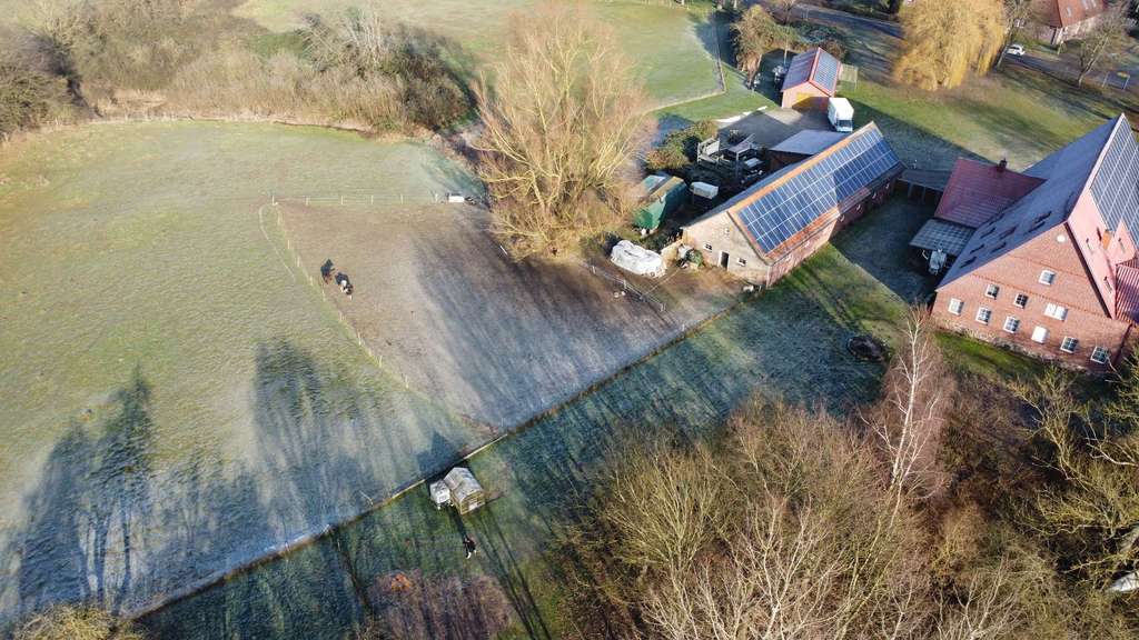 Immobilie in Gadebusch - Sie brauchen Platz? Für sich und Ihre Tiere? - Bild 2