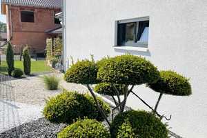 Doppelhaushälfte in ruhiger Lage in Irchenrieth zu vermieten – Neustadt a.d. Waldnaab (Kreis) – Vorschaubild 3