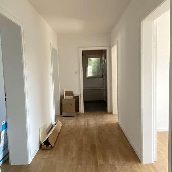 *** frisch renovierte 3-Zimmer-Wohnung - Echtholzparkett - Süd/West Balkon - Naturgarten ***