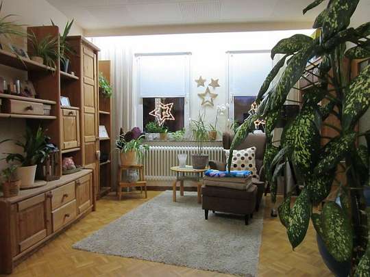 Wohnzimmer 1 EG Wohnzimmer 1 EG