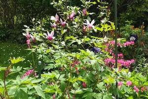 Property thumbnail 12