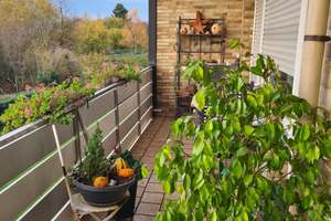 Property thumbnail 7