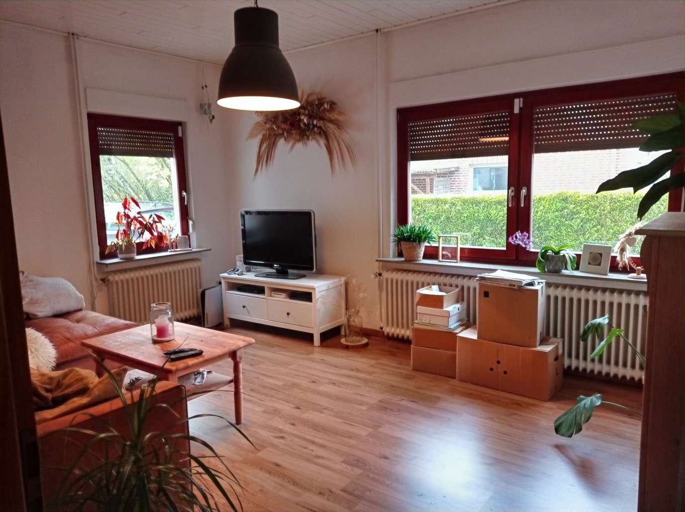 Immobilie in Zetel - Charmantes und bezugsfreies Einfamilienhaus  - Bild 1