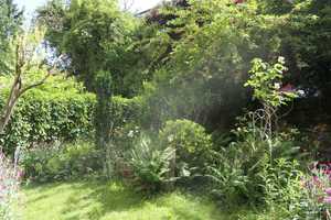 Property thumbnail 19